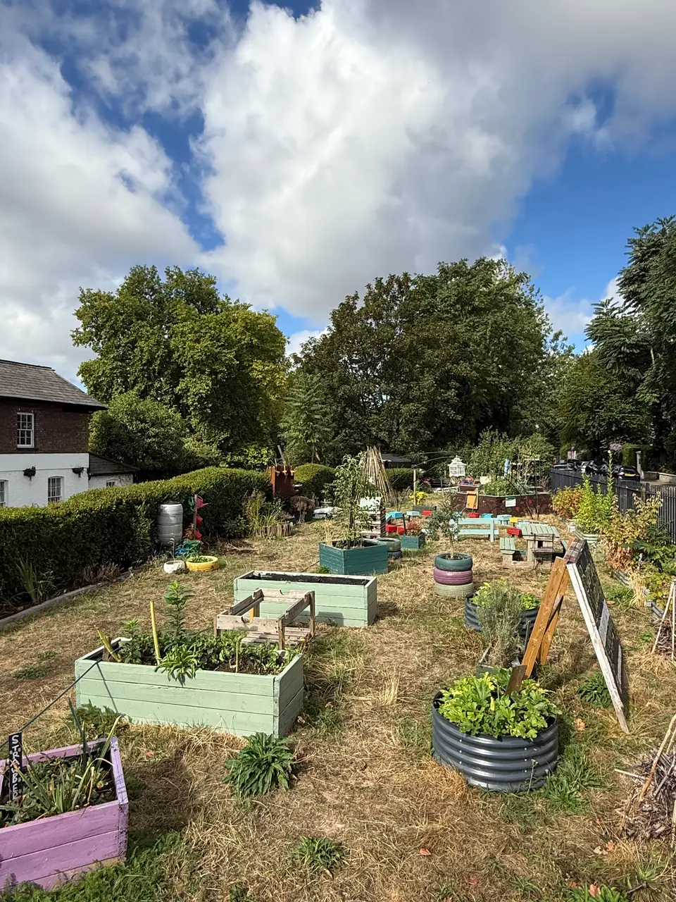 A photograph of Bloomfield Garden