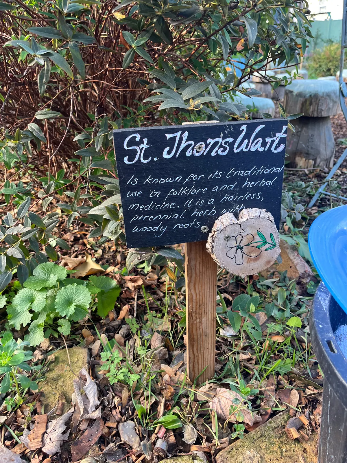 A chalkboard label for St John's wort among the herbs