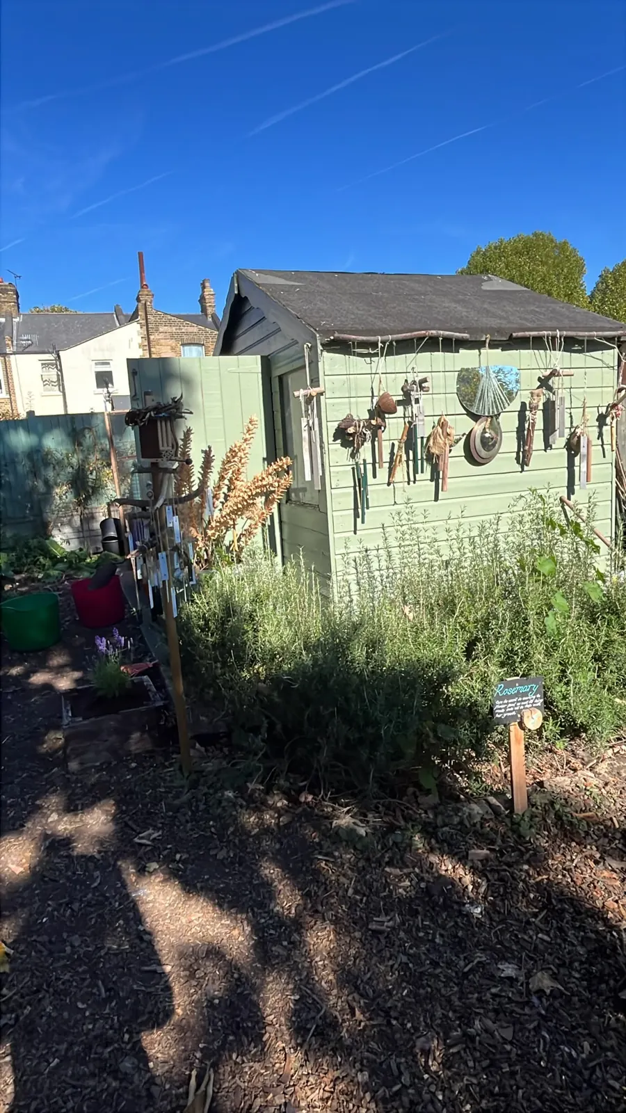 The herb bed in front of the pale green tool shed, with garden tools hanging on its wall