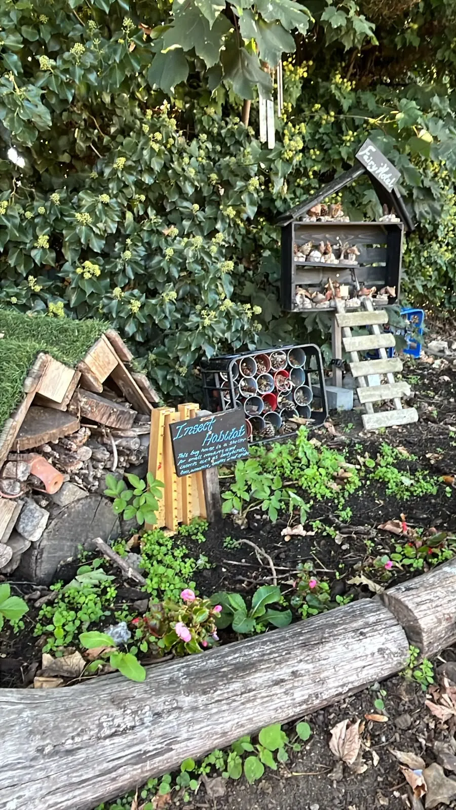The bug house with its turf roof, a crate of tins and the hanging insect hotel above