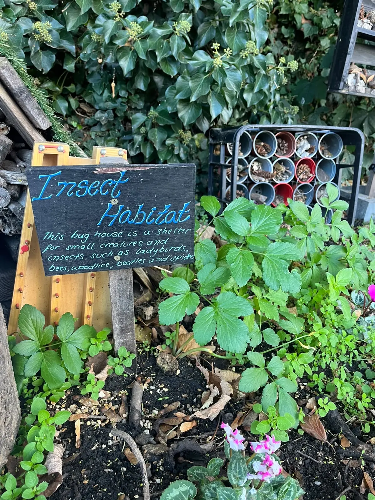 The chalkboard that says the bug house is a shelter for small creatures such as ladybirds, bees, woodlice, beetles and spiders